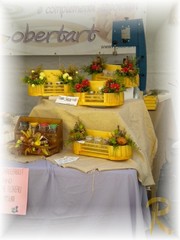 DSCN3314.jpg