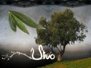 Ulivo