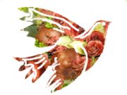 Amore e speranza