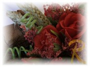 DSCF0584.jpg