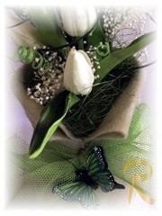 DSCF0810.jpg