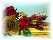 DSCN1582.jpg