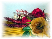 DSCN1583.jpg