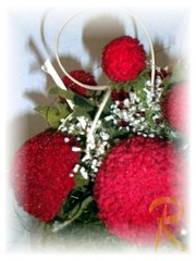 DSCN1600.jpg