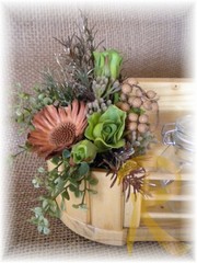 DSCN3191.jpg