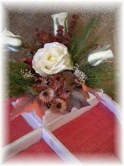 DSCN3273.jpg