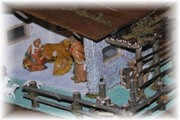 DSC_3574.jpg