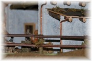 DSC_3625.jpg