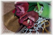 DSC_3906.jpg