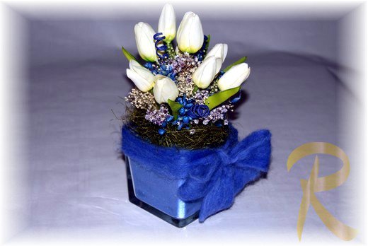 Cubo tulipani