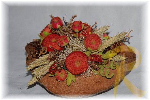 Noce cocco rossa