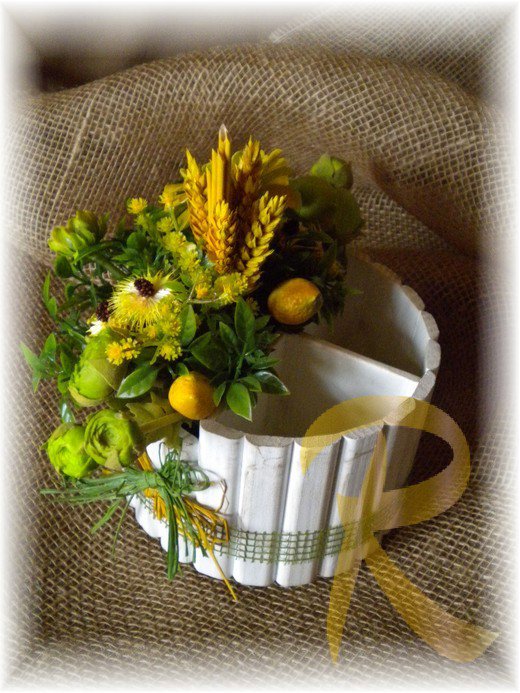 Bianco zinnie gialle
