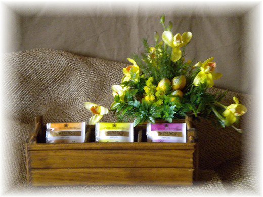 Noce chiaro 3 orchidea gialla