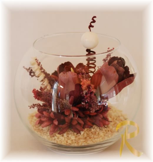 Acquario in fiore1